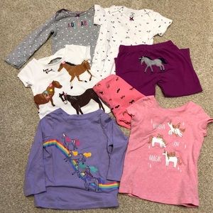 Horse Lover’s 18 month Bundle